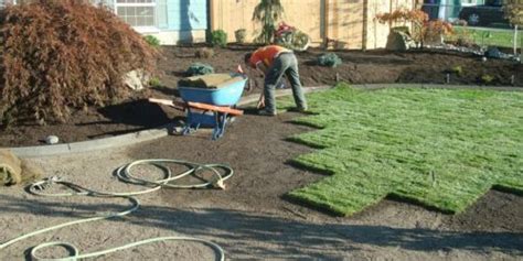 sod asheville|Sod Installation Services in Asheville, NC 